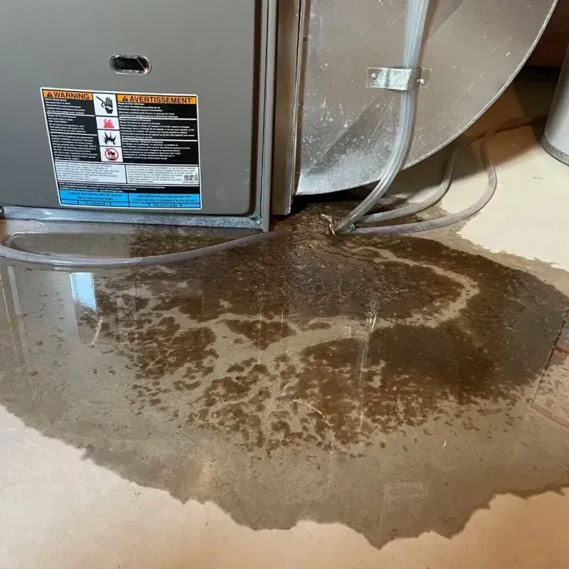 Appliance Leak Cleanup in Woodlawn, MD